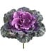 10 Inch Ornamental Cabbage Pick