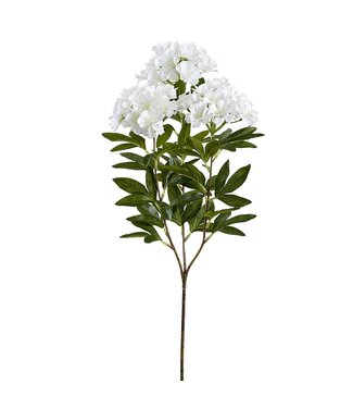 27 Inch Rose Myrtle Spray White