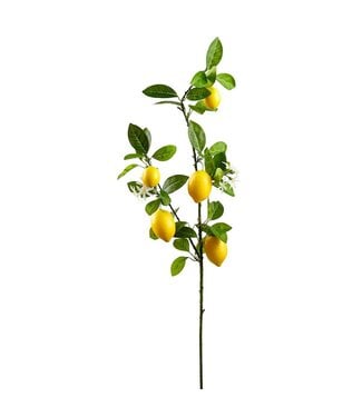 44" Lemon Branch Yellow