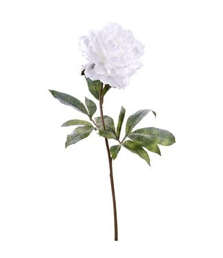 28" Snowed White Peony Spray