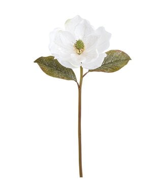 22.5" White Glittered Magnolia Spray