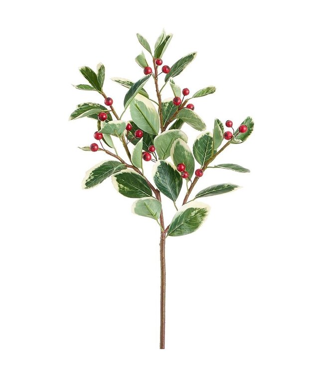 26" Berry Leaf Spray  Variegated Red