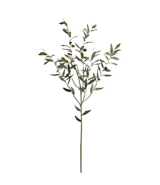 44 Inch Olive Spray  Green