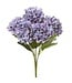 20 Inch Hydrangea Bush x5 Blue