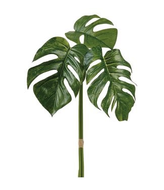 34 Inch Monstera Bundle Green Two Tone