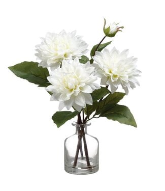 14 Inch Dahlia in Glass Vase  White