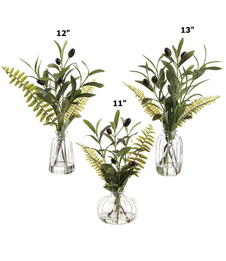 Olive/Fern in Glass Vase Green - Sold Individually