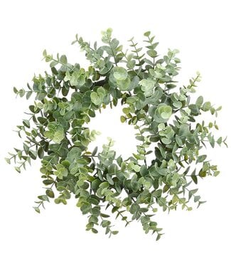 14 Inch Eucalyptus Wreath  Frosted Green