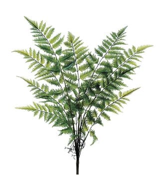 27 Inch Forest Fern Bush Green