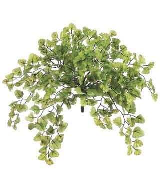 15 Inch Maidenhair Fern Bush