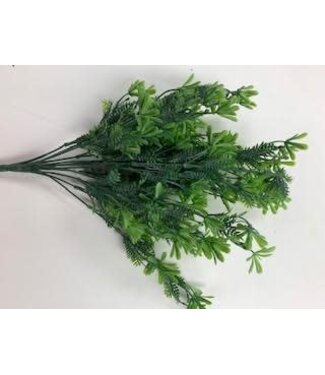 PLS Filler Bush X12 Green 1/12DZ