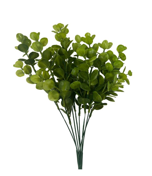 PLS Eucalyptus Bush X8 Green 12DZ