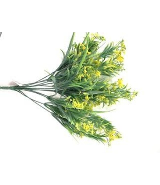 PLS Mini FLS Bush X13 Yellow 12DZ