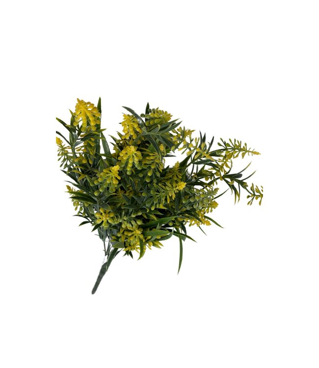 Lilac Bush X11 Yellow 1/12DZ