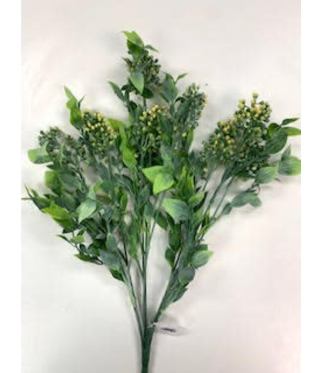 Pls Berry Bush X8 Fs Green