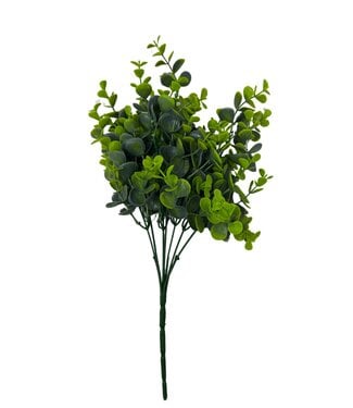 PLS Eucalyptus Bush X7 FS Green 1/12DZ