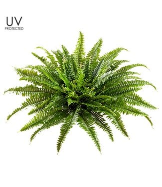 26" UV Protected Boston Fern Bush Green