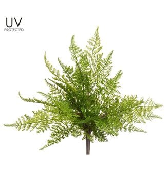 20" UV Protected Lace Fern Bush Green