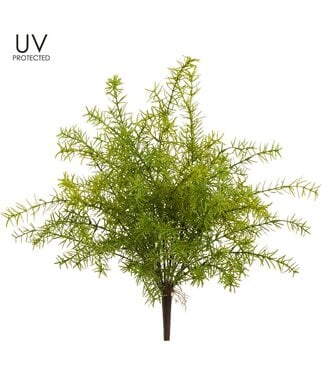 20" UV Protected Sprengeri Fern Bush Green
