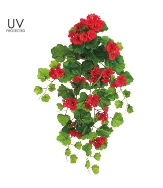 32" UV Protected Geranium Hanging Bush Red