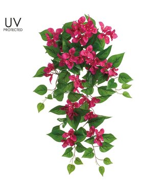 32" UV Protected Bougainvillea Hanging Bush Beauty