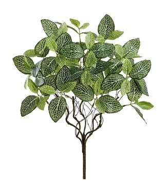 18" Fittonia Leaf Bush Green