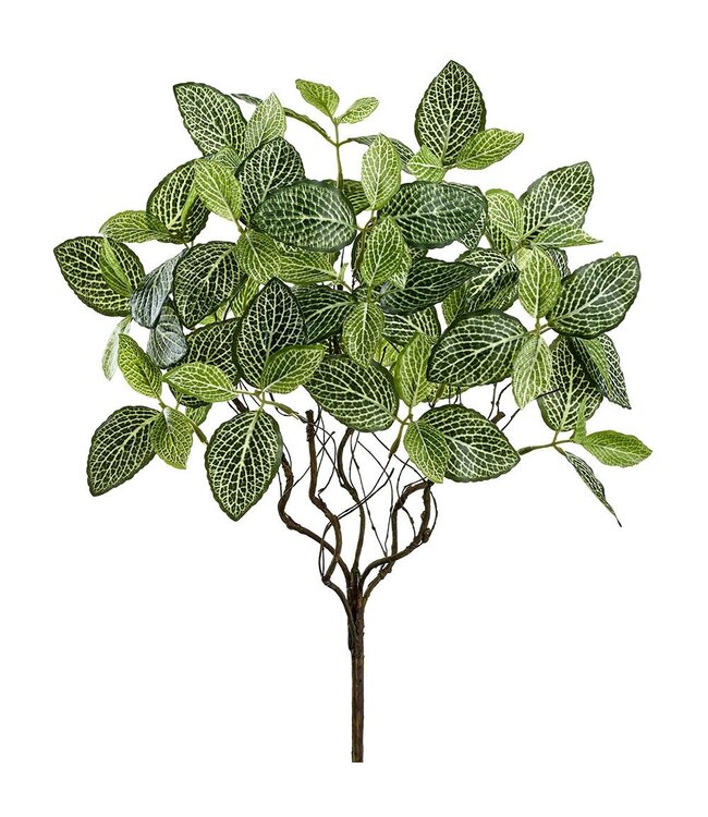 18" Fittonia Leaf Bush Green