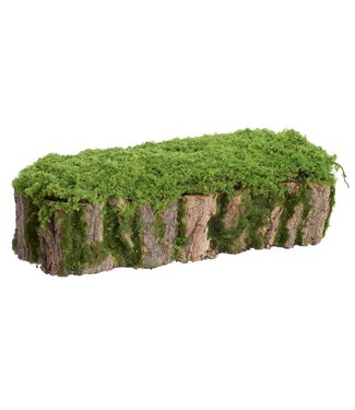 5"Hx17"L Moss Stump  Green