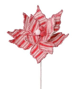 24" Frosty Peppermint Poinsettia Stem