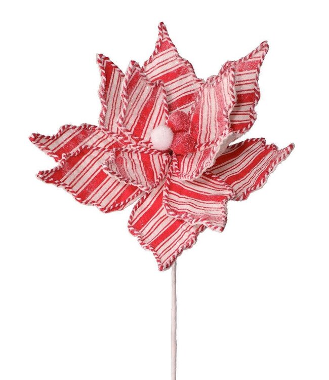 24" Frosty Peppermint Poinsettia Stem