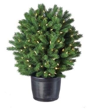 30" Led Ptd.Colorado Sp Shrub 150L