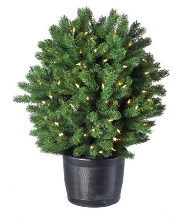 30" Led Ptd.Colorado Sp Shrub 150L