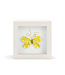 4in Butterfly Shadow Box
