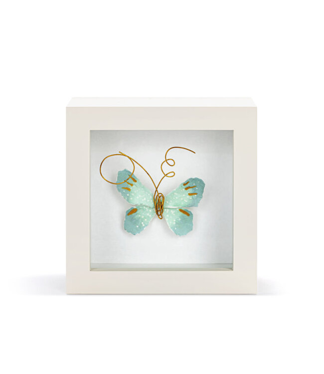 4in Butterfly Shadow Box