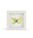 4in Butterfly Shadow Box
