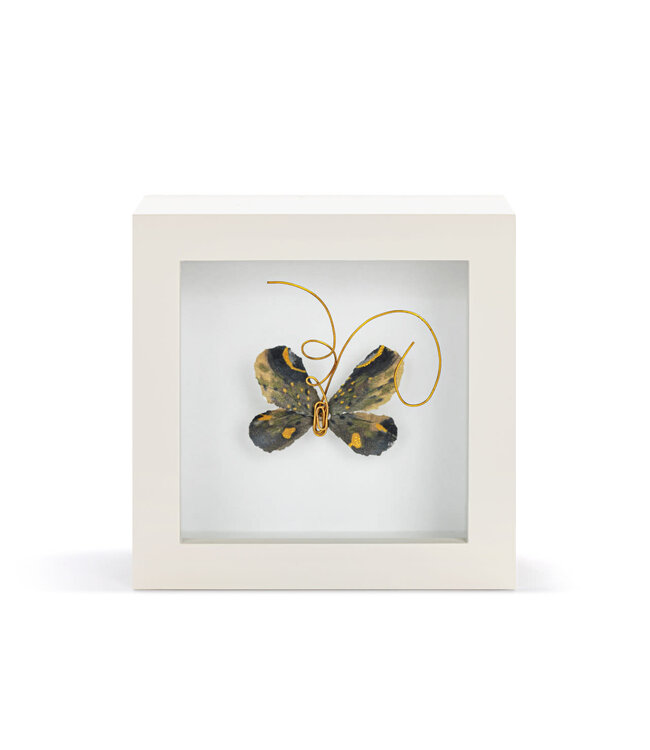4in Butterfly Shadow Box