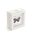 4in Butterfly Shadow Box