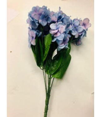 Hydrangea Bush X6 BL/PUR 1/10DZ