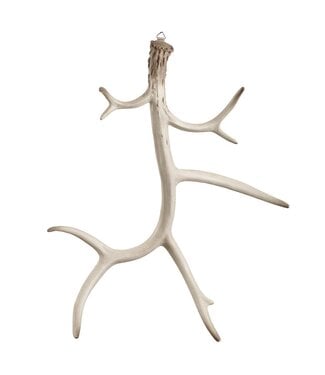 23.5" Antler Wall Deco Gray