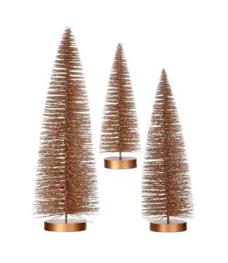 Snow Tipped Bristle Tree