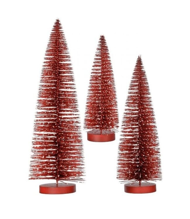 Snow Tipped Bristle Tree