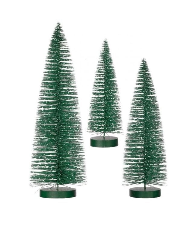 Snow Tipped Bristle Tree