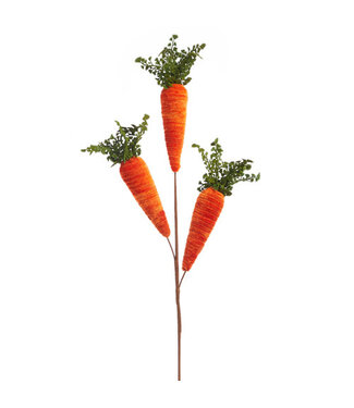 28” Carrot Spray