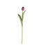 26.75 Inch Silk with Real Touch Single Tulip Stem