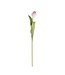 26.75 Inch Silk with Real Touch Single Tulip Stem