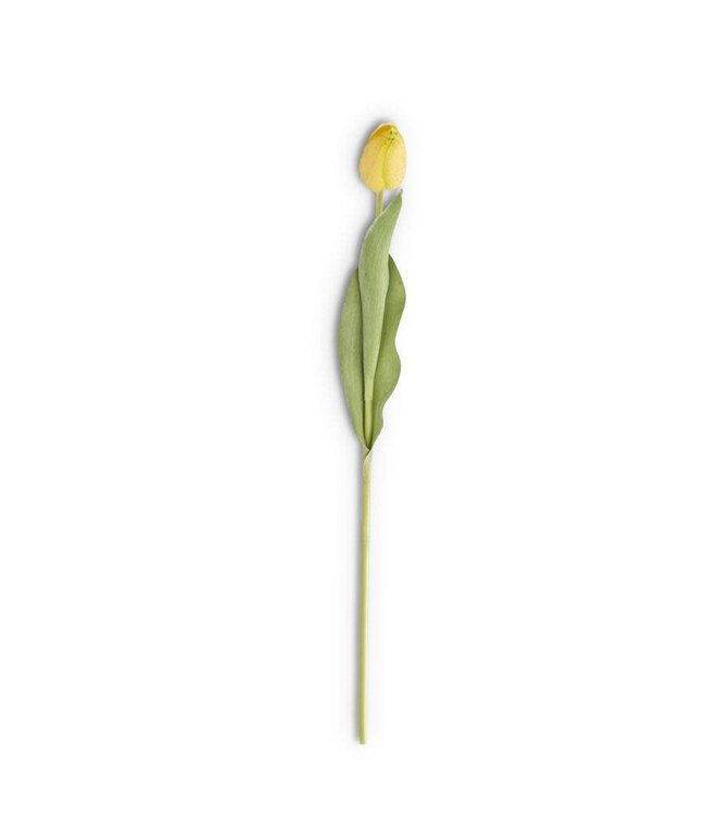26.75 Inch Silk with Real Touch Single Tulip Stem