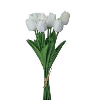 13" Eva Dutch Tulip Bundle