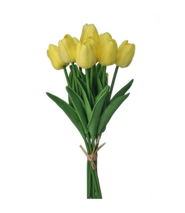 13" Eva Dutch Tulip Bundle