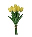 13" Eva Dutch Tulip Bundle