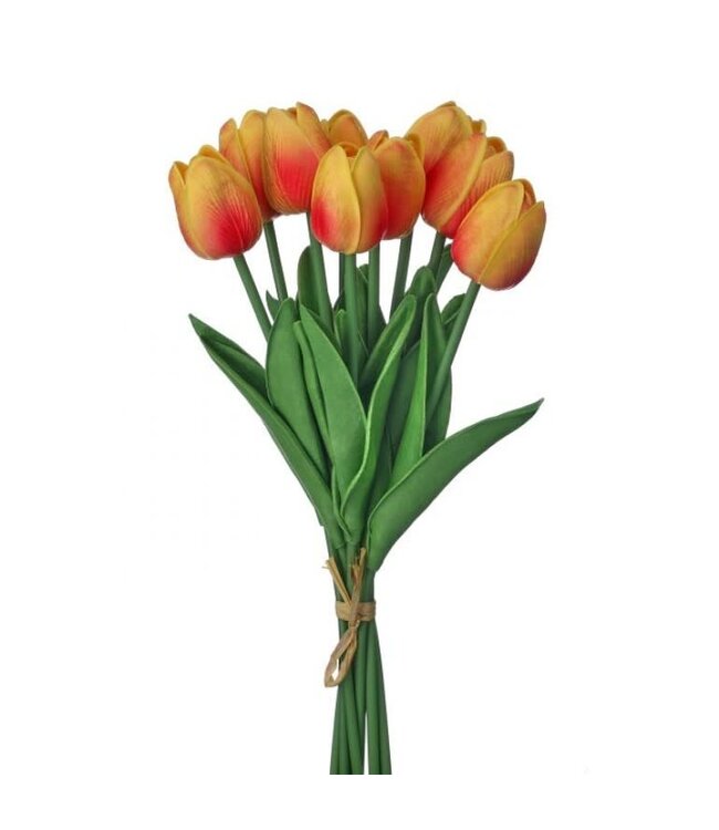 13" Eva Dutch Tulip Bundle